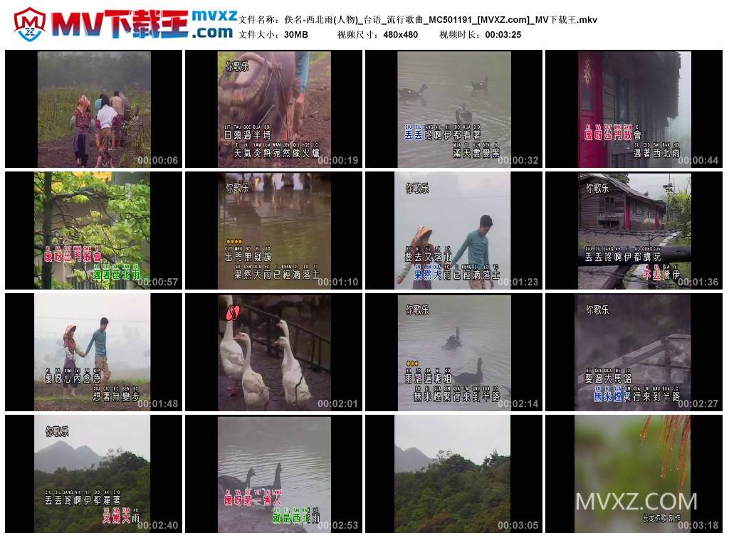 佚名-西北雨(人物)_台语_流行歌曲_MC501191